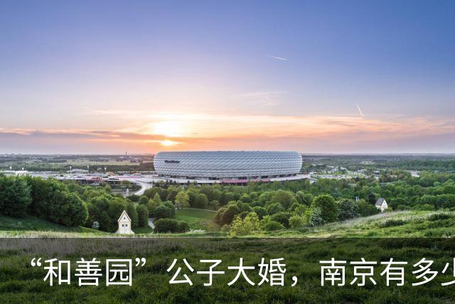 “和善园”公子大婚，南京有多少小老板靠他生活？