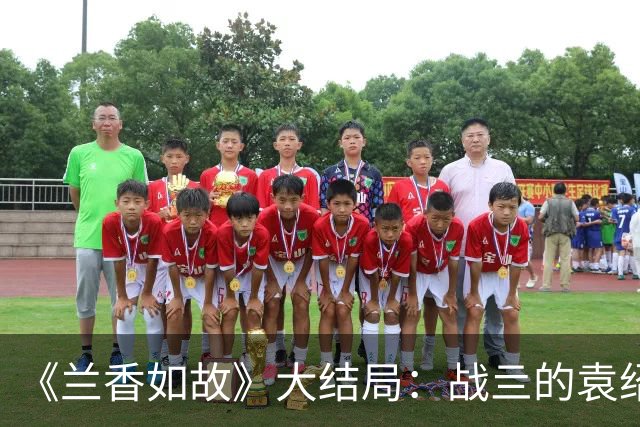 《兰香如故》大结局：战亖的袁绍辉不知，蕞伤心的不是母亲袁老夫人，也不是妻子林绣茹，而是身为知己的他