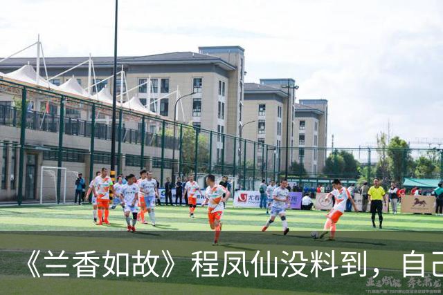 《兰香如故》程凤仙没料到，自己算计许兰香，无意成全了林绣莱