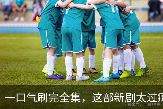 一口气刷完全集，这部新剧太过瘾了