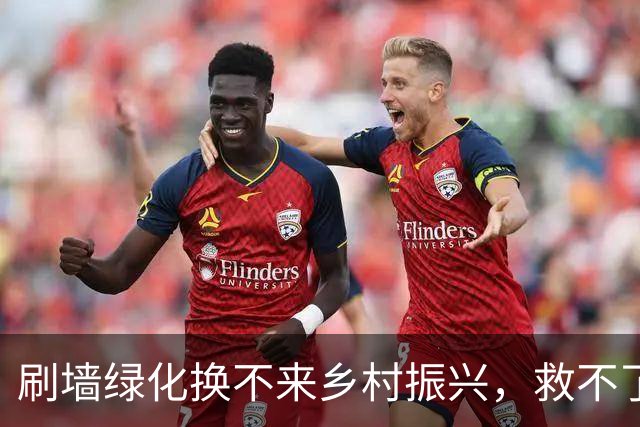 刷墙绿化换不来乡村振兴，救不了乡村衰败的危机
