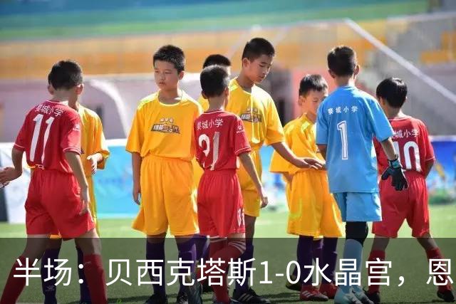 半场：贝西克塔斯1-0水晶宫，恩迪迪破僵