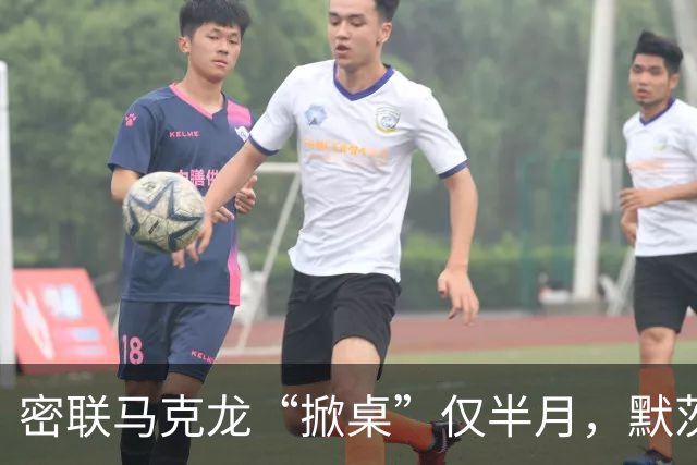 密联马克龙“掀桌”仅半月，默茨突然改口：德国不想与中国打贸易战