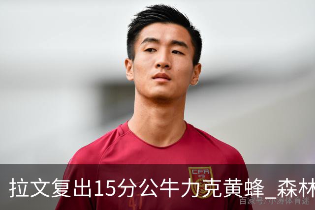 拉文复出15分公牛力克黄蜂 森林狼大胜火箭