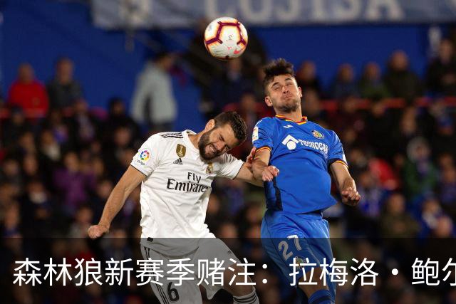 森林狼新赛季赌注：拉梅洛·鲍尔与爱德华兹的进化实验
