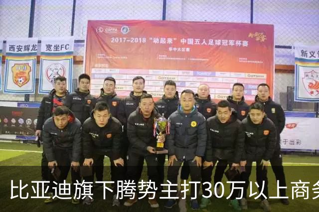 比亚迪旗下腾势主打30万以上商务，同门方程豹销量为何是它两倍多