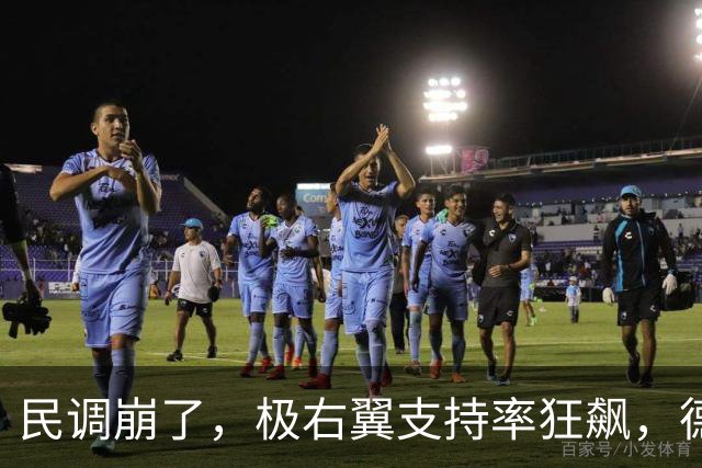 民调崩了，极右翼支持率狂飙，德高层走上不归路，默克尔无力回天