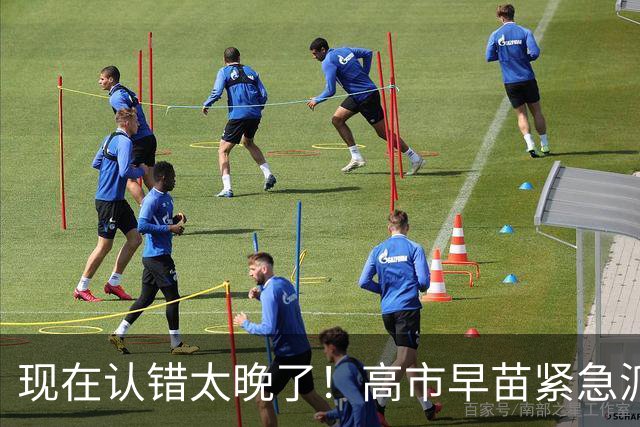 现在认错太晚了！高市早苗紧急派心腹赴华求援，望中国出手拯救？