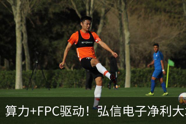 算力+FPC驱动！弘信电子净利大增139%，股价较年内高点回撤超40%