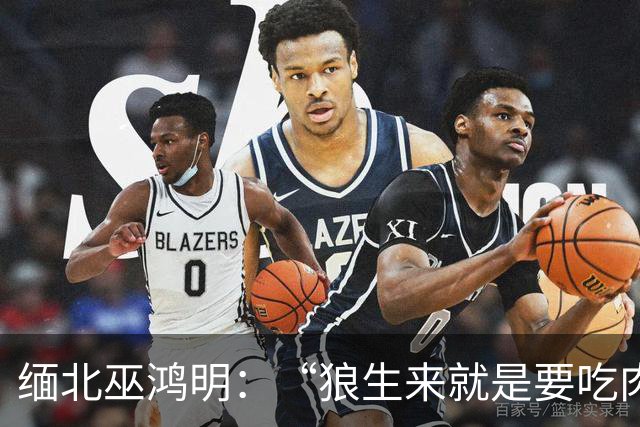 缅北巫鸿明：“狼生来就是要吃肉的”