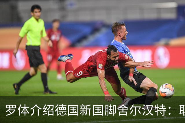 罗体介绍德国新国脚舍尔汉特：职业生涯起步不顺；伊镇关注他