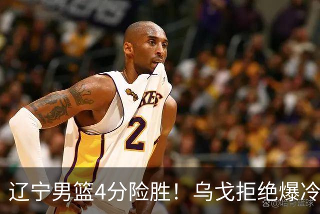 辽宁男篮4分险胜！乌戈拒绝爆冷，克里斯9分，库珀22分11助攻