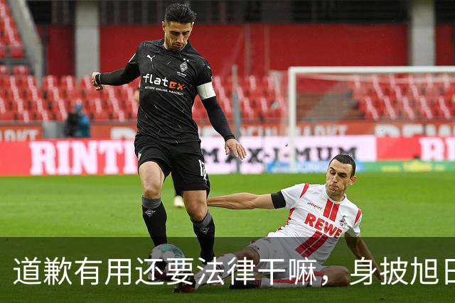 道歉有用还要法律干嘛，身披旭日旗男子是个资深“精日”分子
