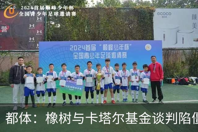 都体：橡树与卡塔尔基金谈判陷僵局，国米少数股权估值分歧显著
