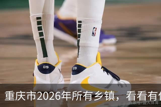 重庆市2026年所有乡镇，看看有你的家乡吗？