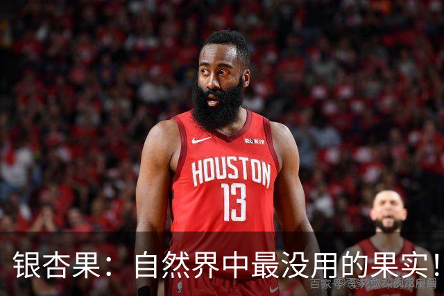 银杏果：自然界中最没用的果实！结果再多也一样沦为保护植物
