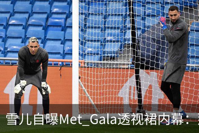 雪儿自曝Met Gala透视裙内幕：那块布料在美国竟不合法